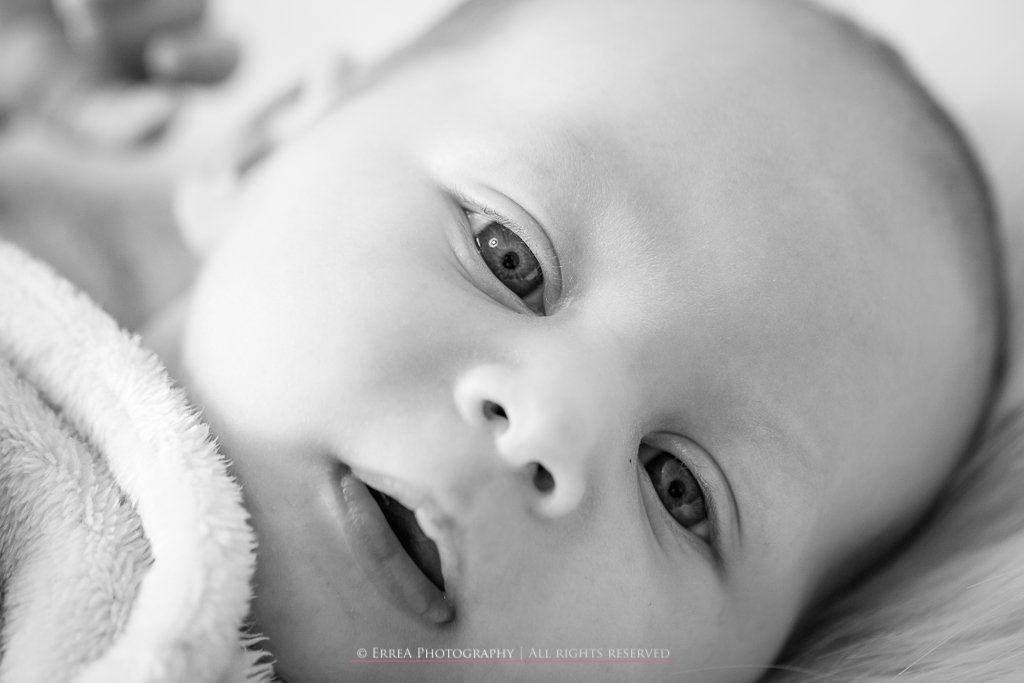 Fotografia Newborn Verona